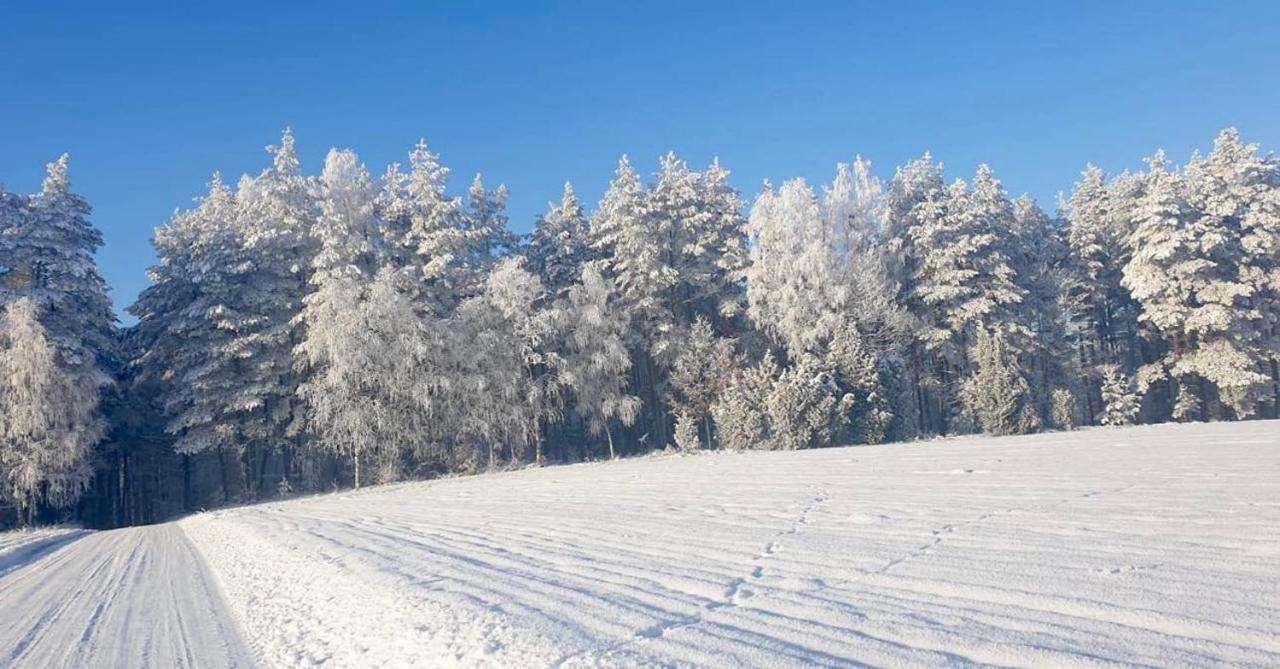 Ostoja Bukowo 12,2 Chata U Szoltesa Borowy Mlyn Luaran gambar